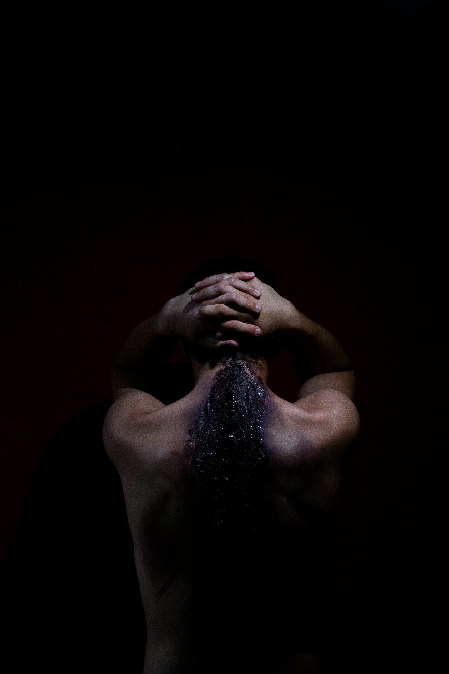 мр Данијела Петковић: Насиље у породици-Закони у Србији, Русији и ЕУ