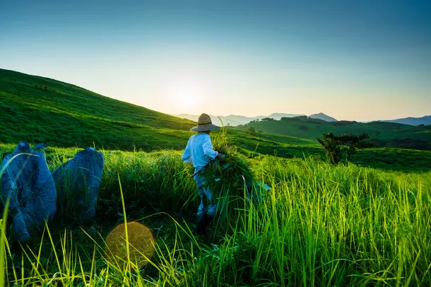 Novi UNESCO Globalni geoparkovi (2026)